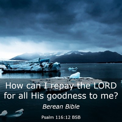 Picture 03 - Psalm 116:12 BSB - How can I repay the LORD for all His goodness to - Bible Verse Picture