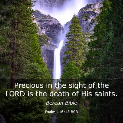 Picture 03 - Psalm 116:15 BSB - Precious in the sight of the LORD is the death of - Bible Verse Picture