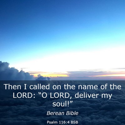 Picture 03 - Psalm 116:4 BSB - Then I called on the name of the LORD: “O LORD, - Bible Verse Picture