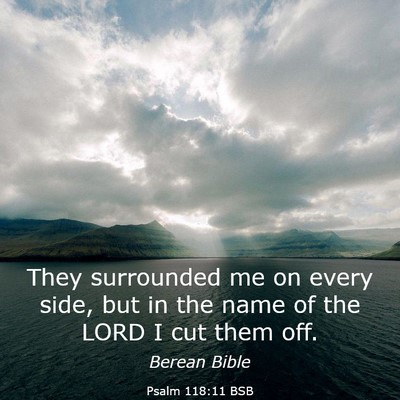 Picture 03 - Psalm 118:11 BSB - They surrounded me on every side, but in the name - Bible Verse Picture