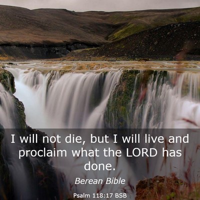 Picture 03 - Psalm 118:17 BSB - I will not die, but I will live and proclaim what - Bible Verse Picture