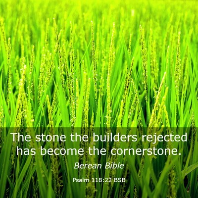 Picture 03 - Psalm 118:22 BSB - The stone the builders rejected has become the - Bible Verse Picture
