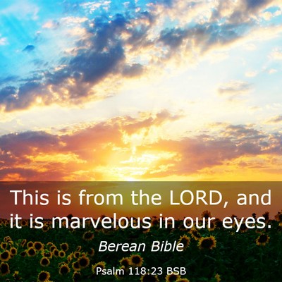 Picture 03 - Psalm 118:23 BSB - This is from the LORD, and it is marvelous in our - Bible Verse Picture