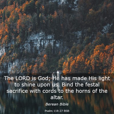 Picture 03 - Psalm 118:27 BSB - The LORD is God; He has made His light to shine - Bible Verse Picture