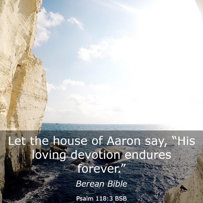 Picture 03 - Psalm 118:3 BSB - Let the house of Aaron say, “His loving - Bible Verse Picture