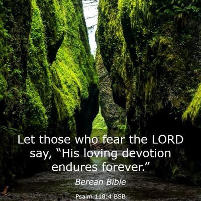 Picture 03 - Psalm 118:4 BSB - Let those who fear the LORD say, “His loving - Bible Verse Picture