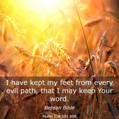 Picture 03 - Psalm 119:101 BSB - I have kept my feet from every evil path, that I - Bible Verse Picture