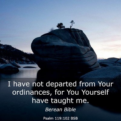 Picture 03 - Psalm 119:102 BSB - I have not departed from Your ordinances, for You - Bible Verse Picture