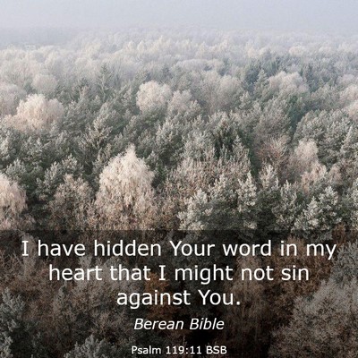 Picture 03 - Psalm 119:11 BSB - I have hidden Your word in my heart that I might - Bible Verse Picture