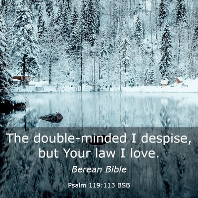 Picture 03 - Psalm 119:113 BSB - The double-minded I despise, but Your law I - Bible Verse Picture