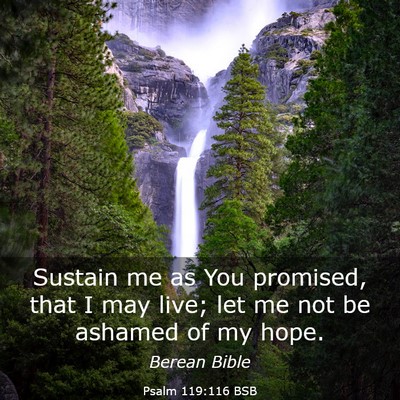 Picture 03 - Psalm 119:116 BSB - Sustain me as You promised, that I may live; let - Bible Verse Picture