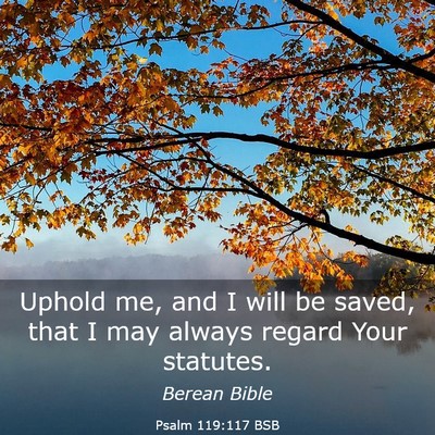 Picture 03 - Psalm 119:117 BSB - Uphold me, and I will be saved, that I may always - Bible Verse Picture
