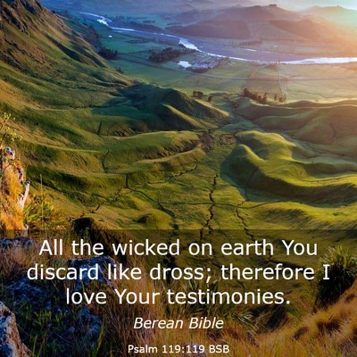 Picture 03 - Psalm 119:119 BSB - All the wicked on earth You discard like dross; - Bible Verse Picture