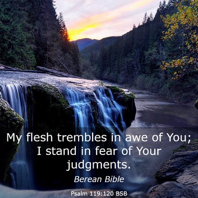 Picture 03 - Psalm 119:120 BSB - My flesh trembles in awe of You; I stand in fear - Bible Verse Picture
