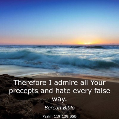 Picture 03 - Psalm 119:128 BSB - Therefore I admire all Your precepts and hate - Bible Verse Picture