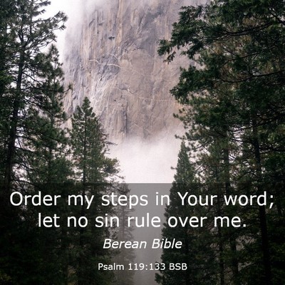 Picture 03 - Psalm 119:133 BSB - Order my steps in Your word; let no sin rule over - Bible Verse Picture