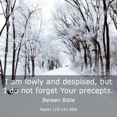 Picture 03 - Psalm 119:141 BSB - I am lowly and despised, but I do not forget Your - Bible Verse Picture