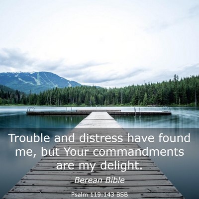 Picture 03 - Psalm 119:143 BSB - Trouble and distress have found me, but Your - Bible Verse Picture
