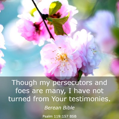 Picture 03 - Psalm 119:157 BSB - Though my persecutors and foes are many, I have - Bible Verse Picture
