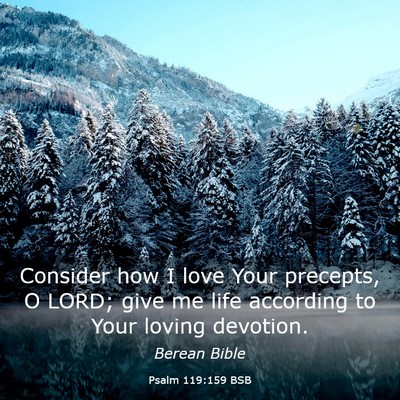 Picture 03 - Psalm 119:159 BSB - Consider how I love Your precepts, O LORD; give - Bible Verse Picture