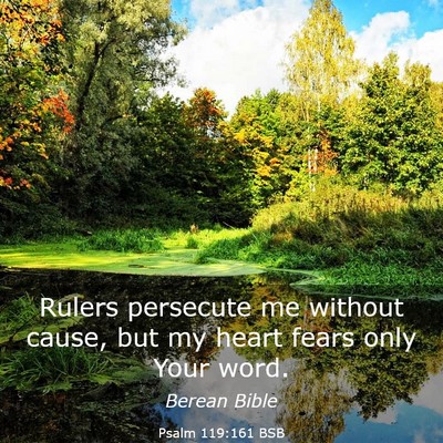 Picture 03 - Psalm 119:161 BSB - Rulers persecute me without cause, but my heart - Bible Verse Picture