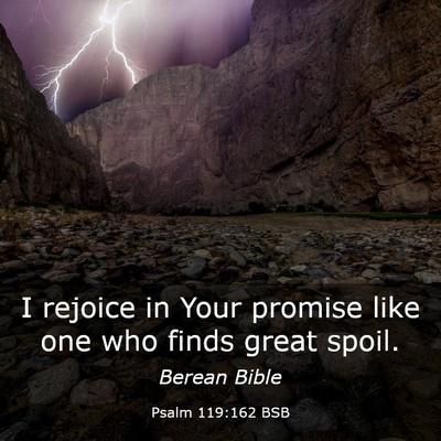 Picture 03 - Psalm 119:162 BSB - I rejoice in Your promise like one who finds - Bible Verse Picture