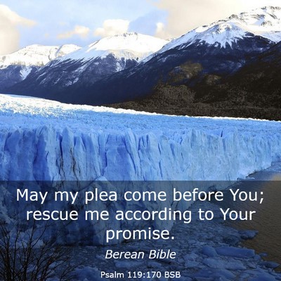 Picture 03 - Psalm 119:170 BSB - May my plea come before You; rescue me according - Bible Verse Picture