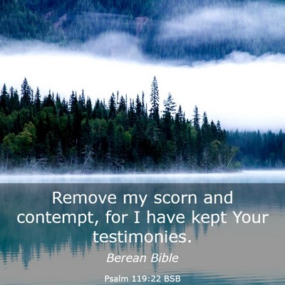Picture 03 - Psalm 119:22 BSB - Remove my scorn and contempt, for I have kept - Bible Verse Picture