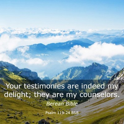 Picture 03 - Psalm 119:24 BSB - Your testimonies are indeed my delight; they are - Bible Verse Picture