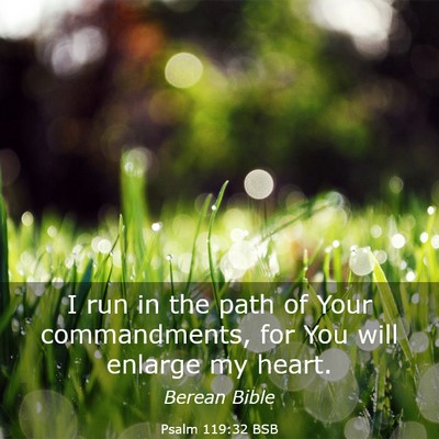 Picture 03 - Psalm 119:32 BSB - I run in the path of Your commandments, for You - Bible Verse Picture