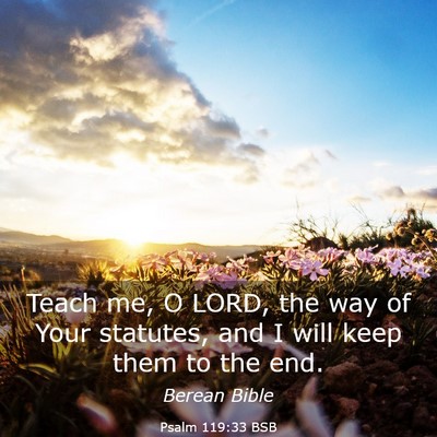 Picture 03 - Psalm 119:33 BSB - Teach me, O LORD, the way of Your statutes, and I - Bible Verse Picture
