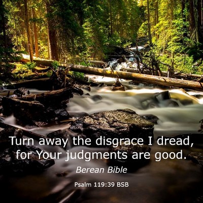 Picture 03 - Psalm 119:39 BSB - Turn away the disgrace I dread, for Your - Bible Verse Picture