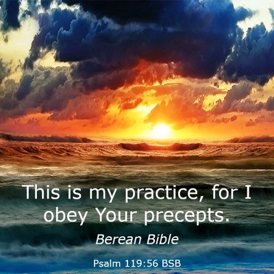 Picture 03 - Psalm 119:56 BSB - This is my practice, for I obey Your - Bible Verse Picture