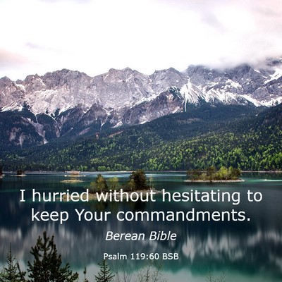 Picture 03 - Psalm 119:60 BSB - I hurried without hesitating to keep Your - Bible Verse Picture