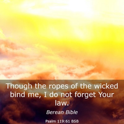 Picture 03 - Psalm 119:61 BSB - Though the ropes of the wicked bind me, I do not - Bible Verse Picture