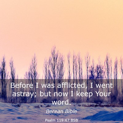 Picture 03 - Psalm 119:67 BSB - Before I was afflicted, I went astray; but now I - Bible Verse Picture
