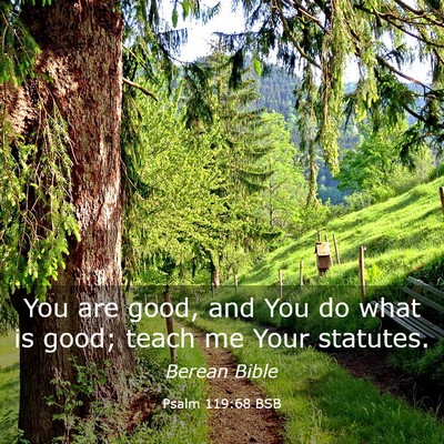 Picture 03 - Psalm 119:68 BSB - You are good, and You do what is good; teach me - Bible Verse Picture