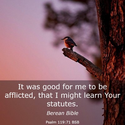 Picture 03 - Psalm 119:71 BSB - It was good for me to be afflicted, that I might - Bible Verse Picture