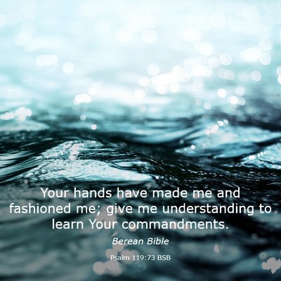 Picture 03 - Psalm 119:73 BSB - Your hands have made me and fashioned me; give me - Bible Verse Picture