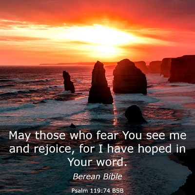 Picture 03 - Psalm 119:74 BSB - May those who fear You see me and rejoice, for I - Bible Verse Picture