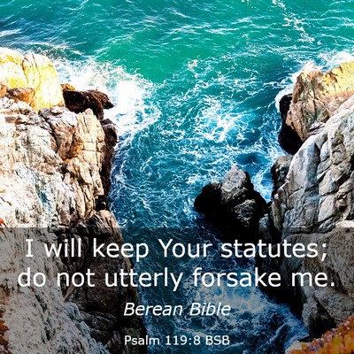 Picture 03 - Psalm 119:8 BSB - I will keep Your statutes; do not utterly forsake - Bible Verse Picture