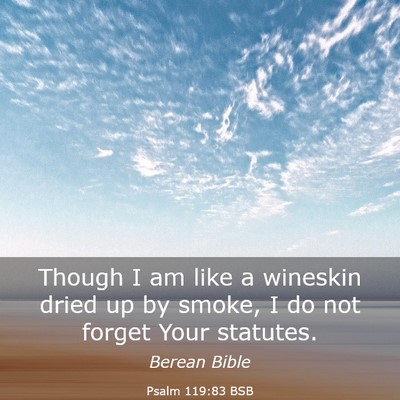 Picture 03 - Psalm 119:83 BSB - Though I am like a wineskin dried up by smoke, I - Bible Verse Picture