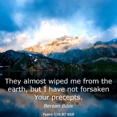 Picture 03 - Psalm 119:87 BSB - They almost wiped me from the earth, but I have - Bible Verse Picture