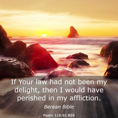 Picture 03 - Psalm 119:92 BSB - If Your law had not been my delight, then I would - Bible Verse Picture