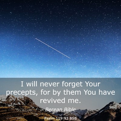 Picture 03 - Psalm 119:93 BSB - I will never forget Your precepts, for by them - Bible Verse Picture