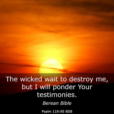 Picture 03 - Psalm 119:95 BSB - The wicked wait to destroy me, but I will ponder - Bible Verse Picture