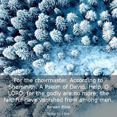 Picture 03 - Psalm 12:1 BSB - For the choirmaster. According to Sheminith. A - Bible Verse Picture