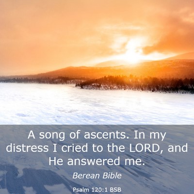 Picture 03 - Psalm 120:1 BSB - A song of ascents. In my distress I cried to the - Bible Verse Picture