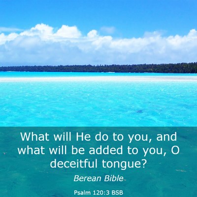 Picture 03 - Psalm 120:3 BSB - What will He do to you, and what will be added to - Bible Verse Picture
