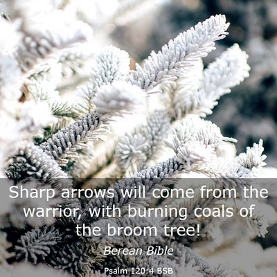 Picture 03 - Psalm 120:4 BSB - Sharp arrows will come from the warrior, with - Bible Verse Picture